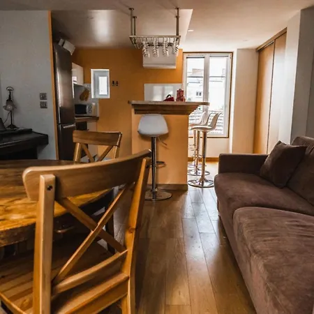 Large Flat Near Paris 장티이
